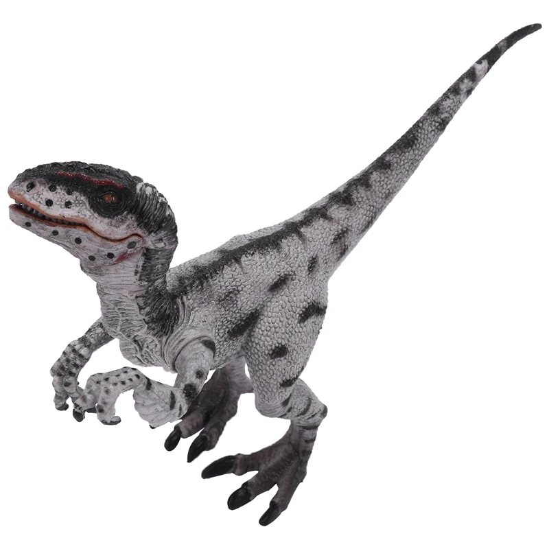 

Jurassic Velociraptor Dinosaur Action&Toy Figures Animal Model Collection Learning&Educational Kids Birthday Boy Gift
