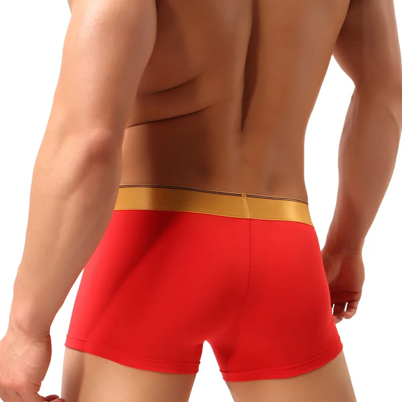 

Hot Sexy Boxer Shorts Men Underwear Super Soft Mens Panties U Convex Crotch Underpants Gay Men Boxer Homme Cueca Dropshipping