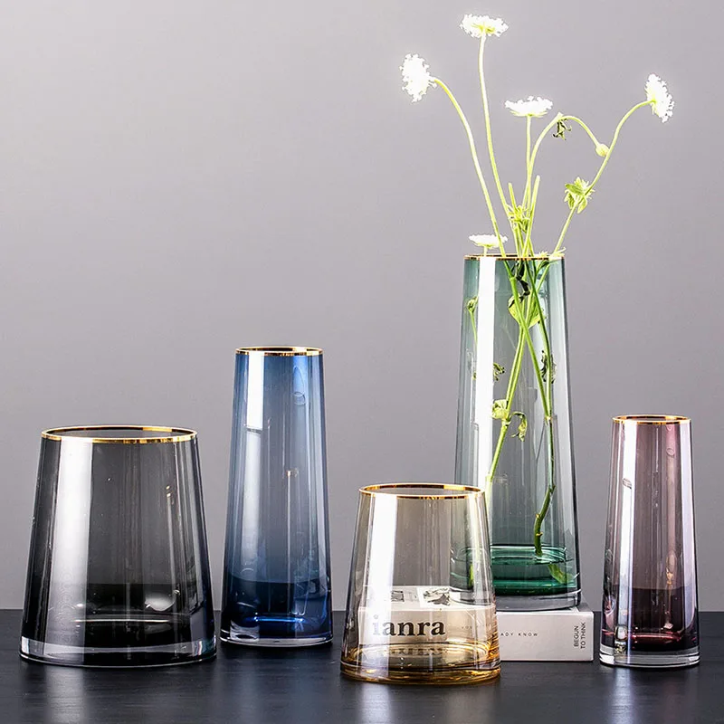 

Modern Simple Transparent Glass Vase Hydroponic Color Phnom Penh Nordic Home Furnishing Vase Decorative Flower Ware