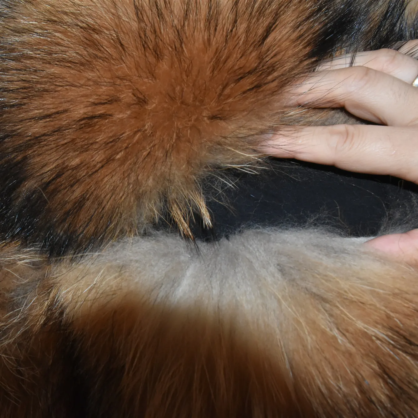 Women's Real Fur Vest Genuine Raccoon Fur Waistcoat Coats Women Winter Fashion Short Vest High Quality