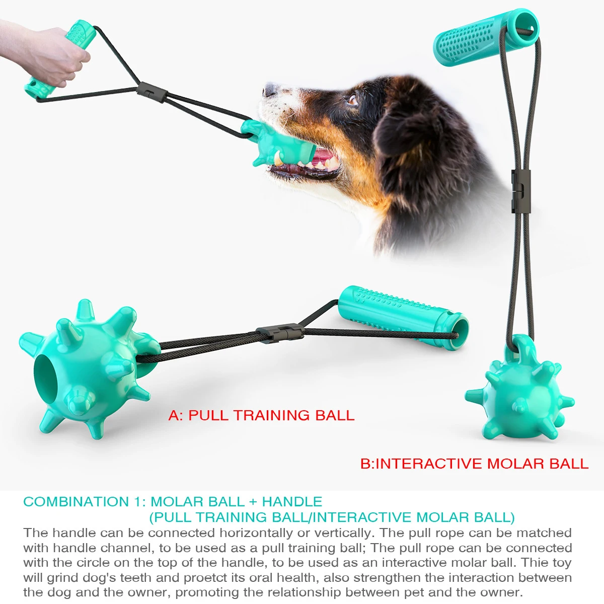

Multi-Functional Combination Dog Toothbrush Chew Toy , Non-Toxic Natural Rubber Long Lasting Dog Toy,Training Toy For Medium Dog
