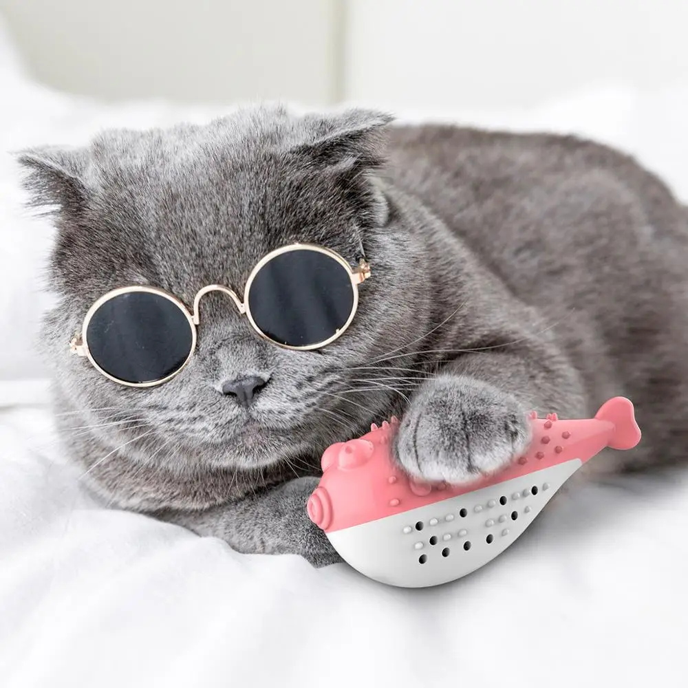 

Cat Toy Vocal Pet Educational Toys Dolphin Puffer Fish Simulation Cat Pet Toothbrush Teeth Cleaning Molar Toys Multifunction New