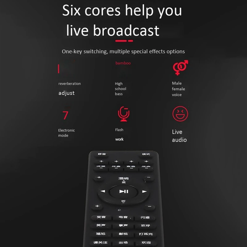 

Rhymad Handheld Player Singing Recorder Mic Wireless Microphone Bluetooth Karaoke Professional Speaker