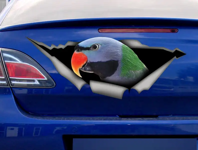 

Moustache Parakeet decal, parrot decal, bird sticker,Moustache Parakeet sticker