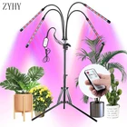 Светодиодный кронштейн с пультом дистанционного управления, освесветильник для выращивания растений, 5 В, USB, лампа полного спектра для комнатных растений, растений, цветов, рассады, фитолампы