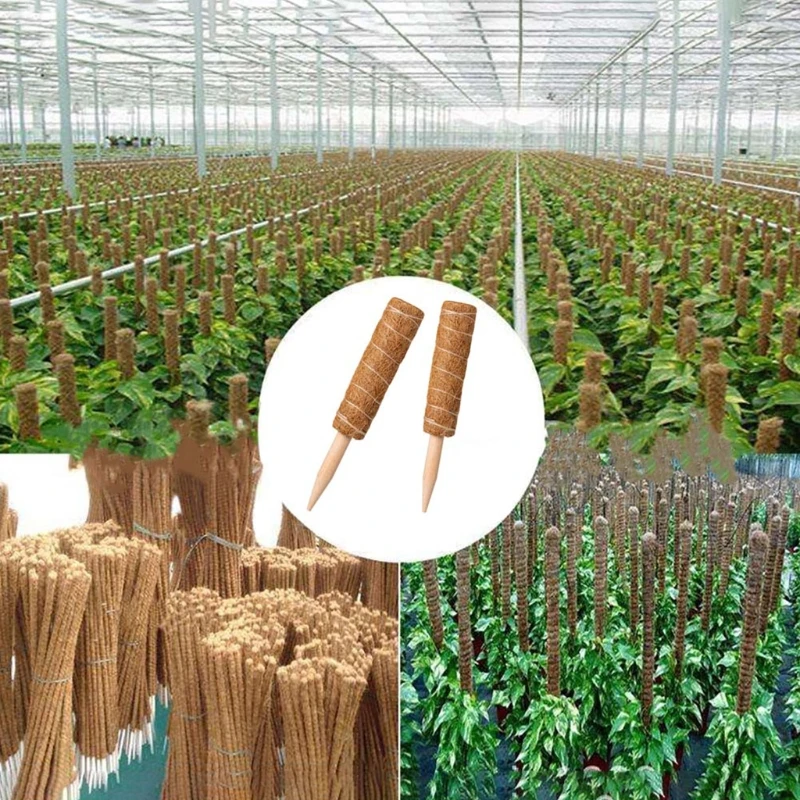 

Garden Carbon Fiber Totem Rod, Extendable Rattan Palm Stick Plant Climbing Eco-friendly, Green Coconut Palm Pillar