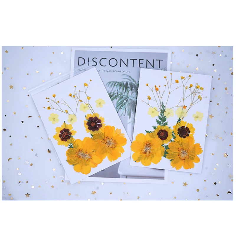 Econom 11-14 pcs / pack Real Dried Pressed Flowers Leaf Plant Mixed Colorful Flower Leaves Petals for DIY Candle Make-up ds99 | Дом и сад