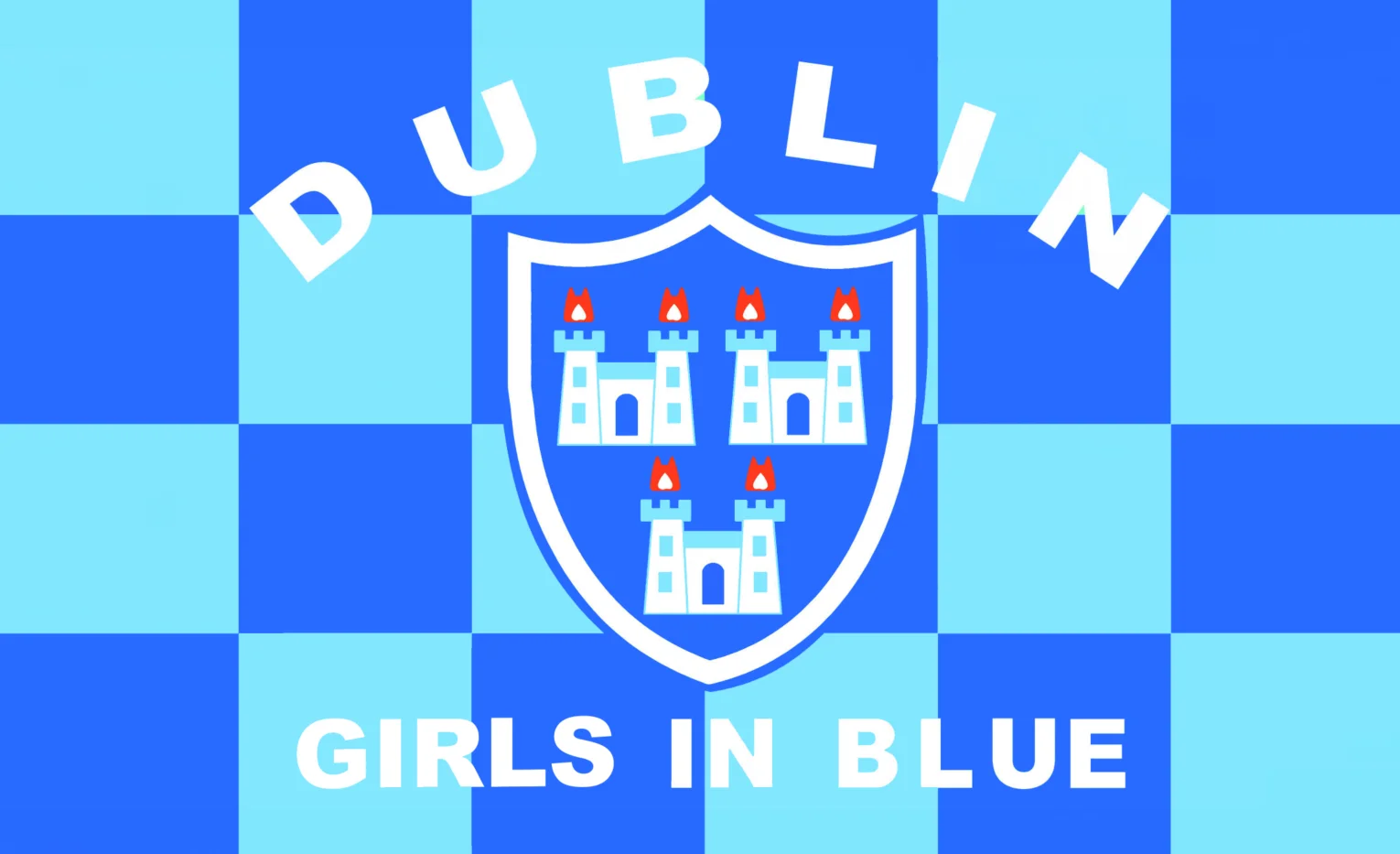 Флаг округа Дублина ирландский Государственный округ баннер 3x5 футов 100D 150x90 см