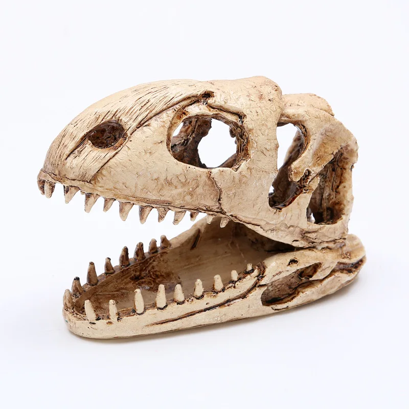 

High Precision Ceratosaurus Skull Model Rex Dinosaur Resin Fossil Skull Model Collectibles Model Figure Aquarium Ornament