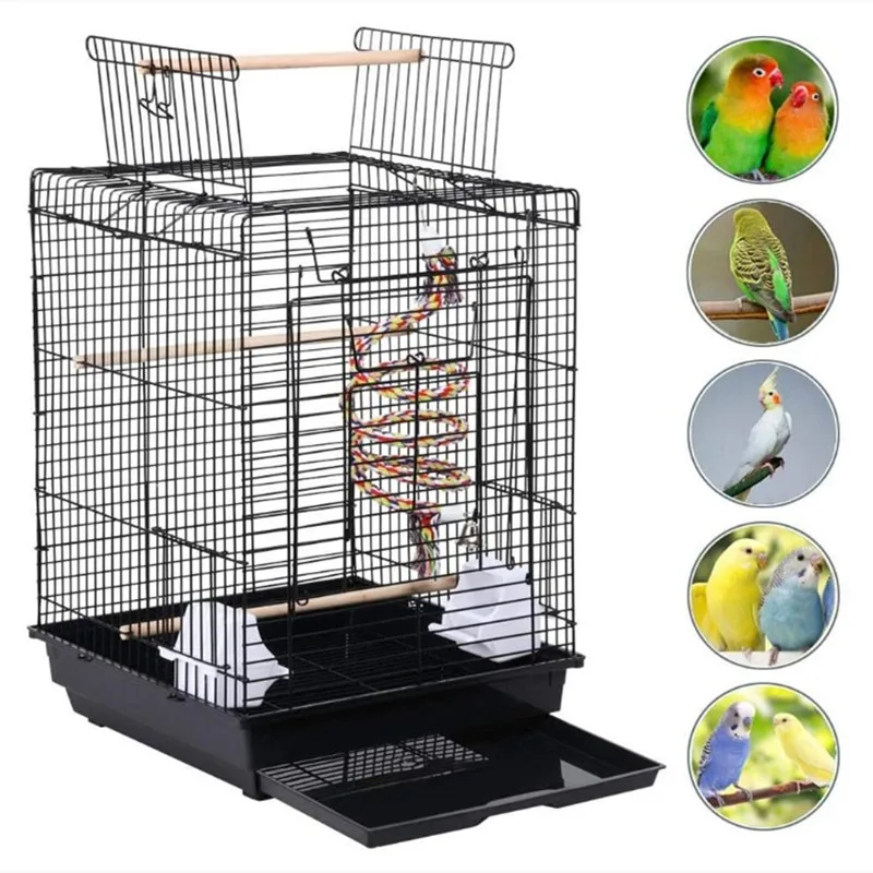 

Pet Products