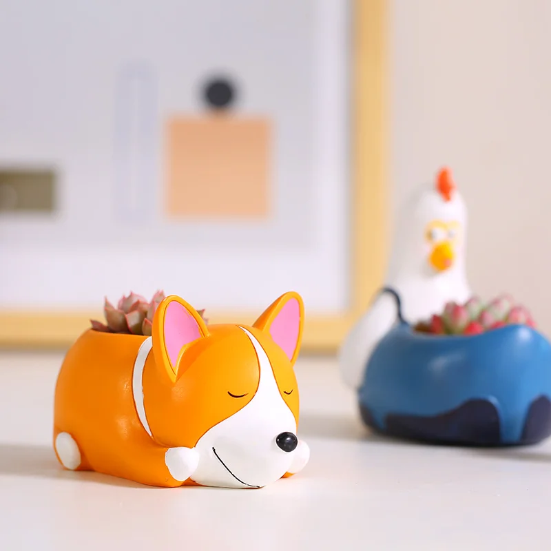 Me мясистое растение цветочный горшок Supergerminating творческая личность прекрасное