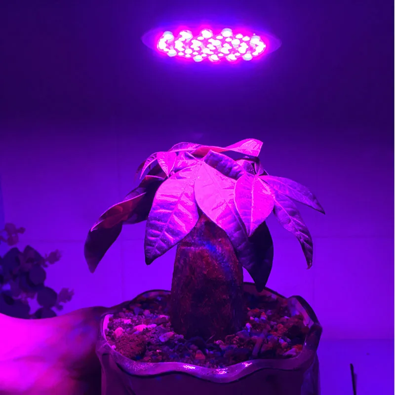 Лампа для выращивания растений светодиодсветодиодный лампа полного спектра в