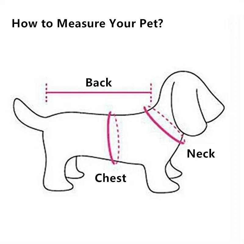 

Pet Products