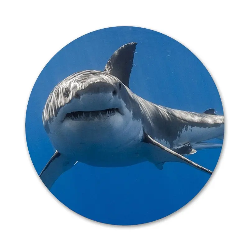 Брошь значок с челюстью Мег 58 мм аксессуары для одежды рюкзак украшение подарок |