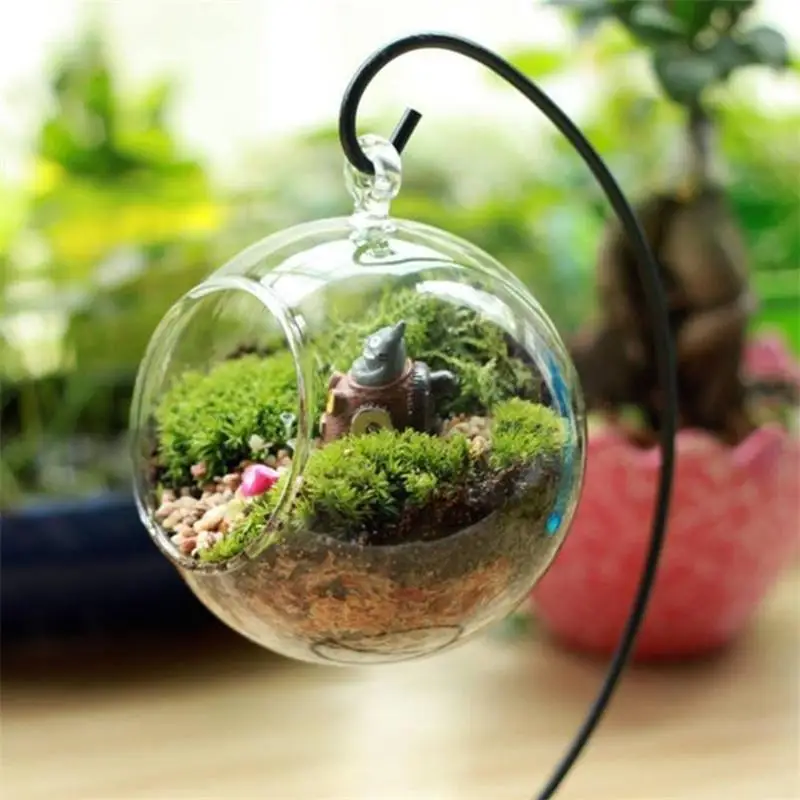 

Clear Hanging Ball Creative Glass Flowerpot Office Garden Decor Flower Planter Vase Terrarium Container Landscape Desk decor