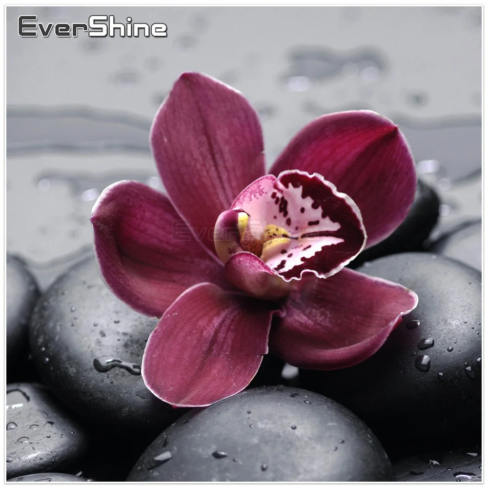 EverShine новый алмаз вышивка цветок фотографии Стразы Алмазная мозаика алмазная