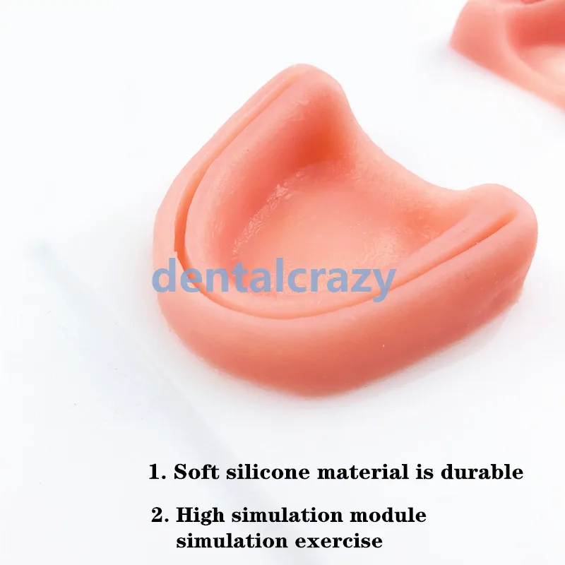 4 шт./компл. стоматологический пероральный/десен учебный модуль силиконовая
