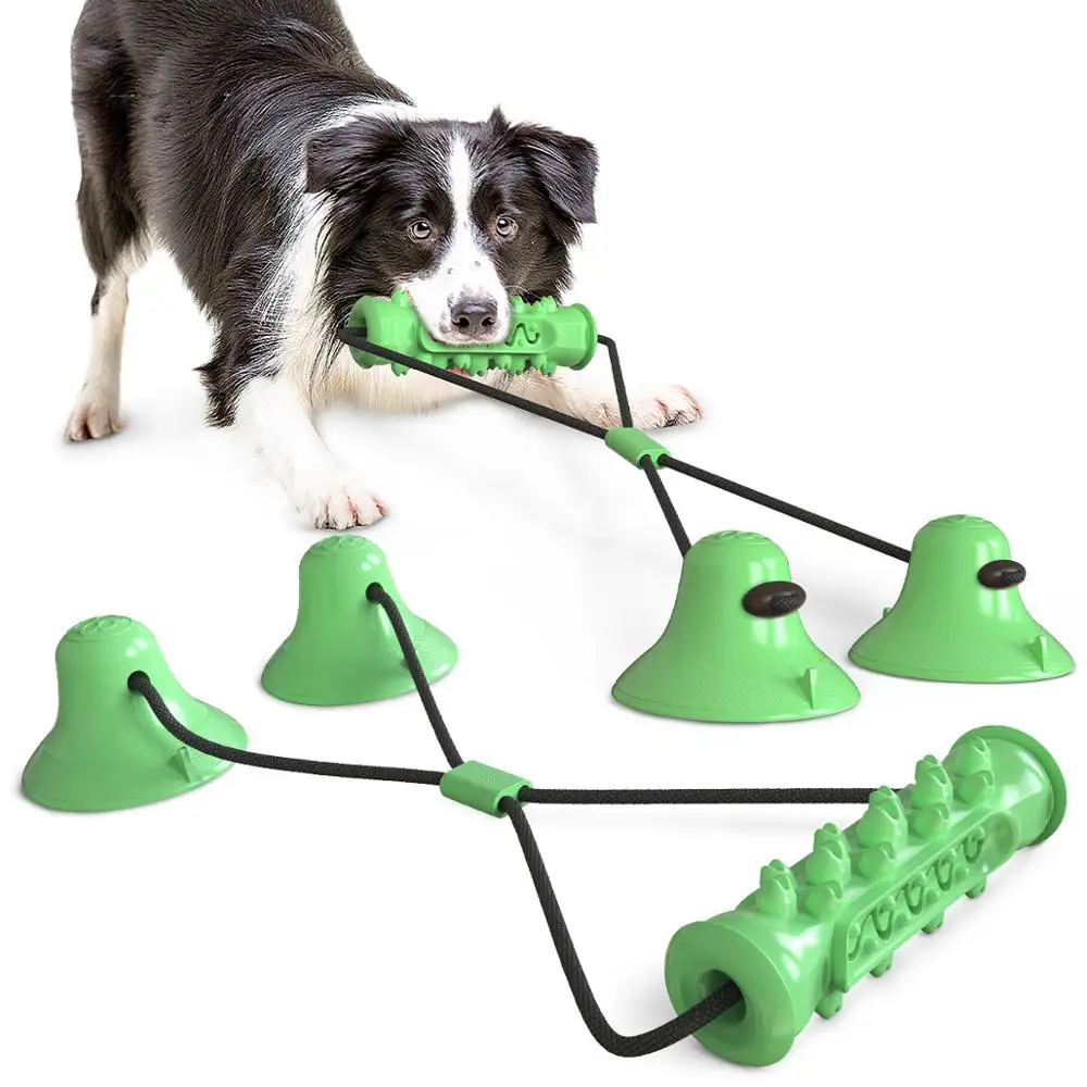 

Multifunction Dog Molar Bite Toys Interactive Durable Dog Play Training Teeth Cleaning Pets Chewing Toy With Suction Cup Dog Toy