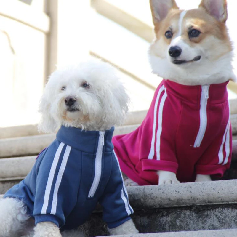Хлопковые худи для домашних собак весенний спортивный костюм одежда мопса с