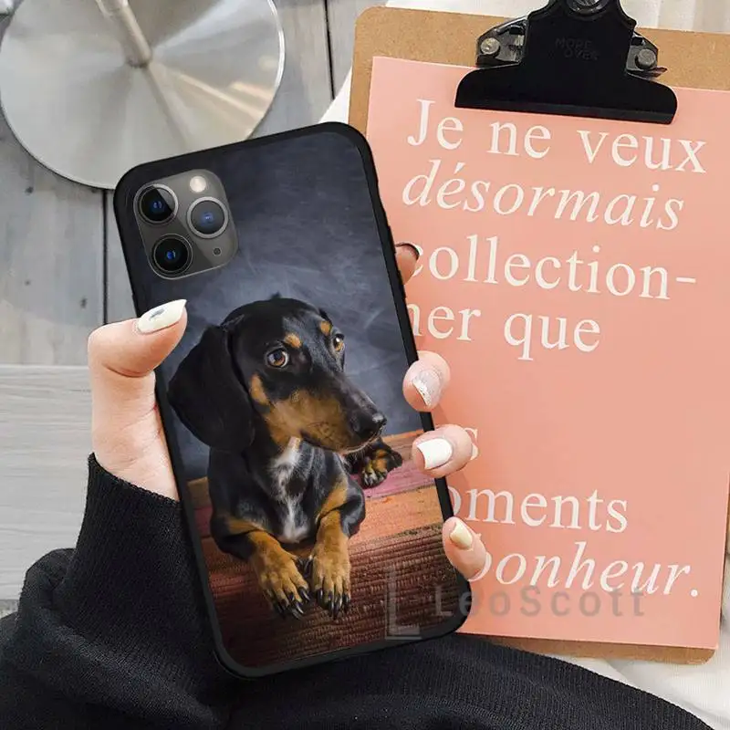 

Funny dachshund dog Phone Case for iPhone 11 12 mini pro XS MAX 8 7 6 6S Plus X 5S SE 2020 XR