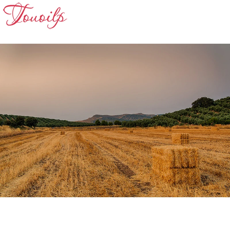 

TOUOILP 3D diamond embroidery Farmland view straw diamond diy diamond painting needlework canvas Home Decoration