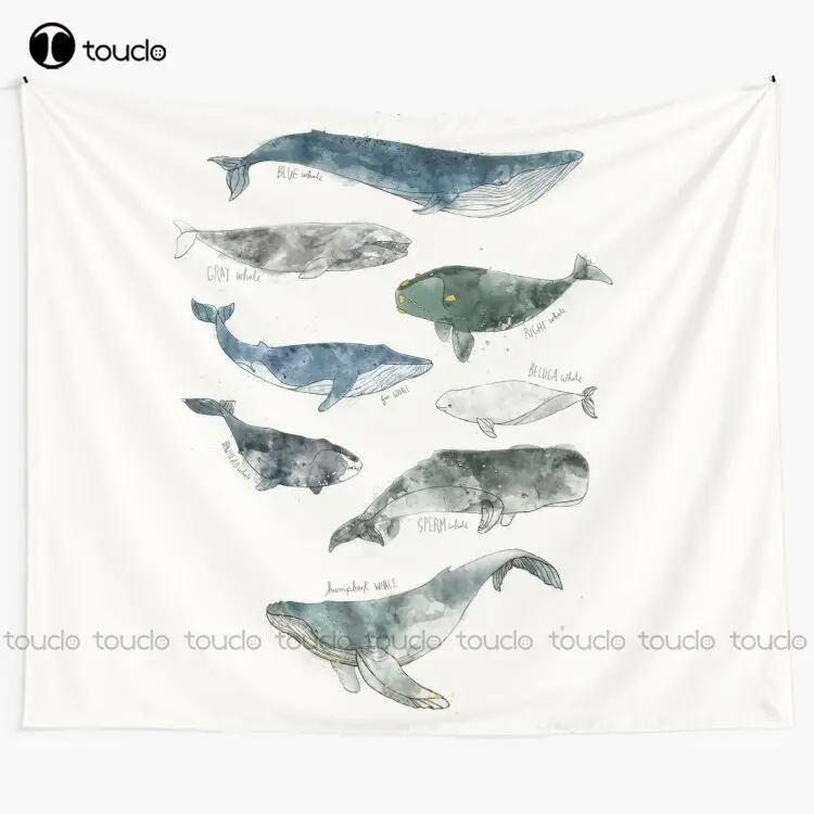 

Whales Whale Humpback Gray Blue Beluga Animals Nature Tapestry Sports Tapestry Blanket Tapestry Bedroom Bedspread Decoration