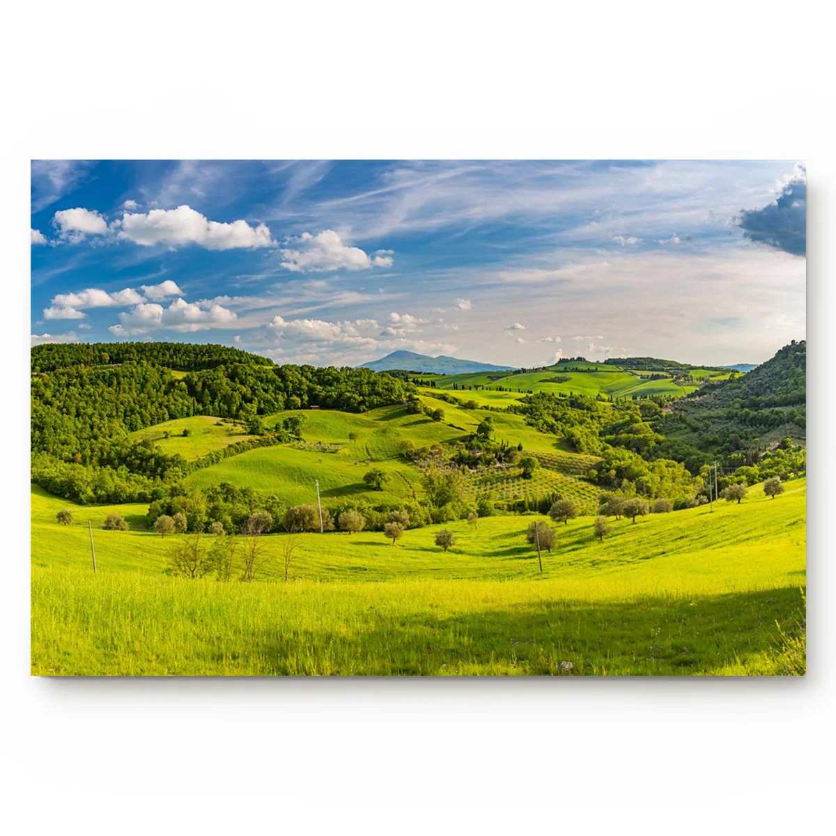 Лес луга зеленые растения Небесно Голубой пейзаж красивые широкие облака Грис