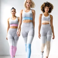 seamless 2 pcs women three color yoga suit professional running fitness bra set sport bra yoga legging pant suit