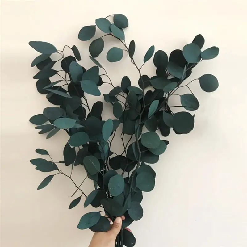 

Immortal Apple Eucalyptus Round Leaf Home Decoration Floral Dyed Dried Flowers Artificial Eucalyptus Leaves Flower Dried Bouquet