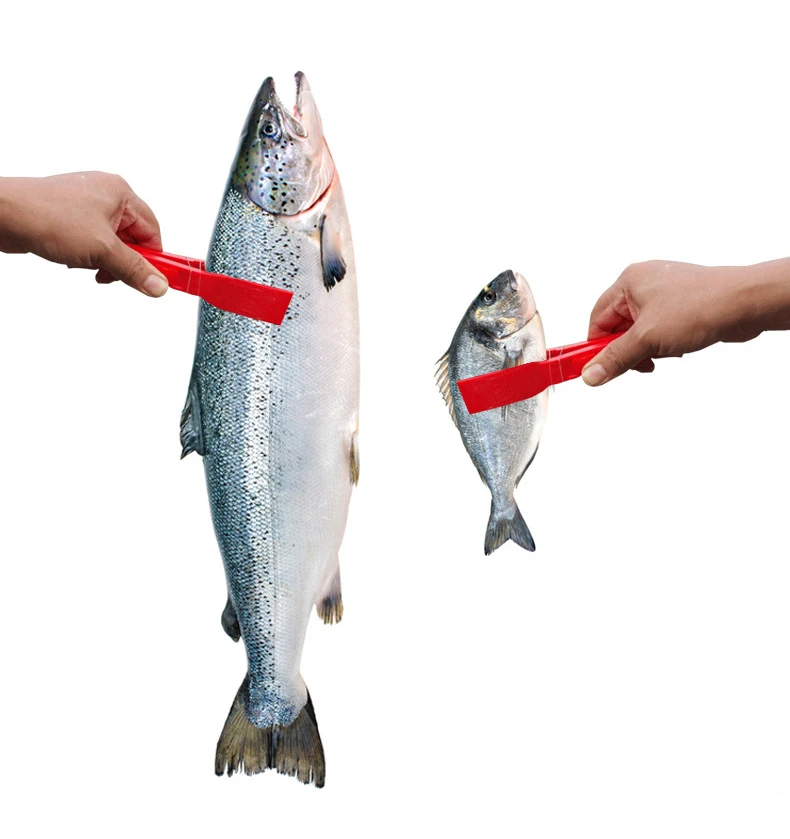 Рыболовный захват переключатель блокировки рыбы зажим подтяжки средства ухода