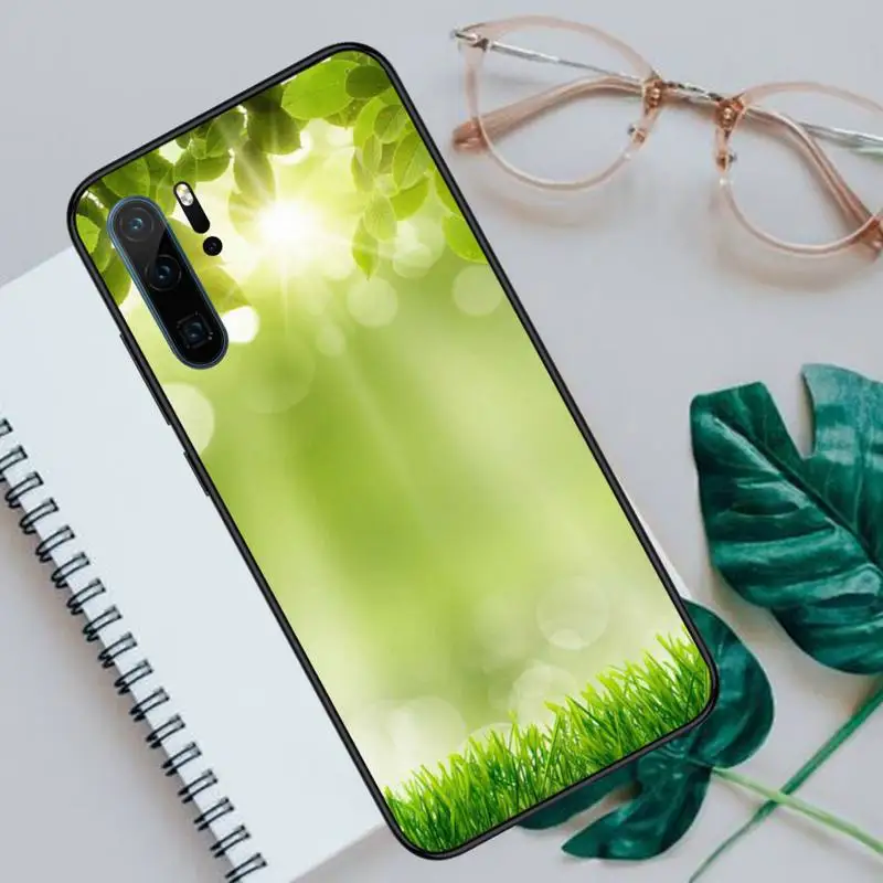 

green weed Phone Cases For Huawei P40 P20 P30 lite Pro P Smart 2019 Mate 40 20 10 Lite Pro Nova 5t
