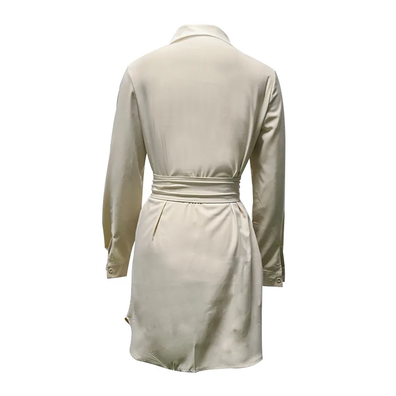 

Woman Dress 2021 Spring Office Lady Empire O-Neck Women Clothing Long Sleeve Fashion Dresses for Women Party Sexy Dress