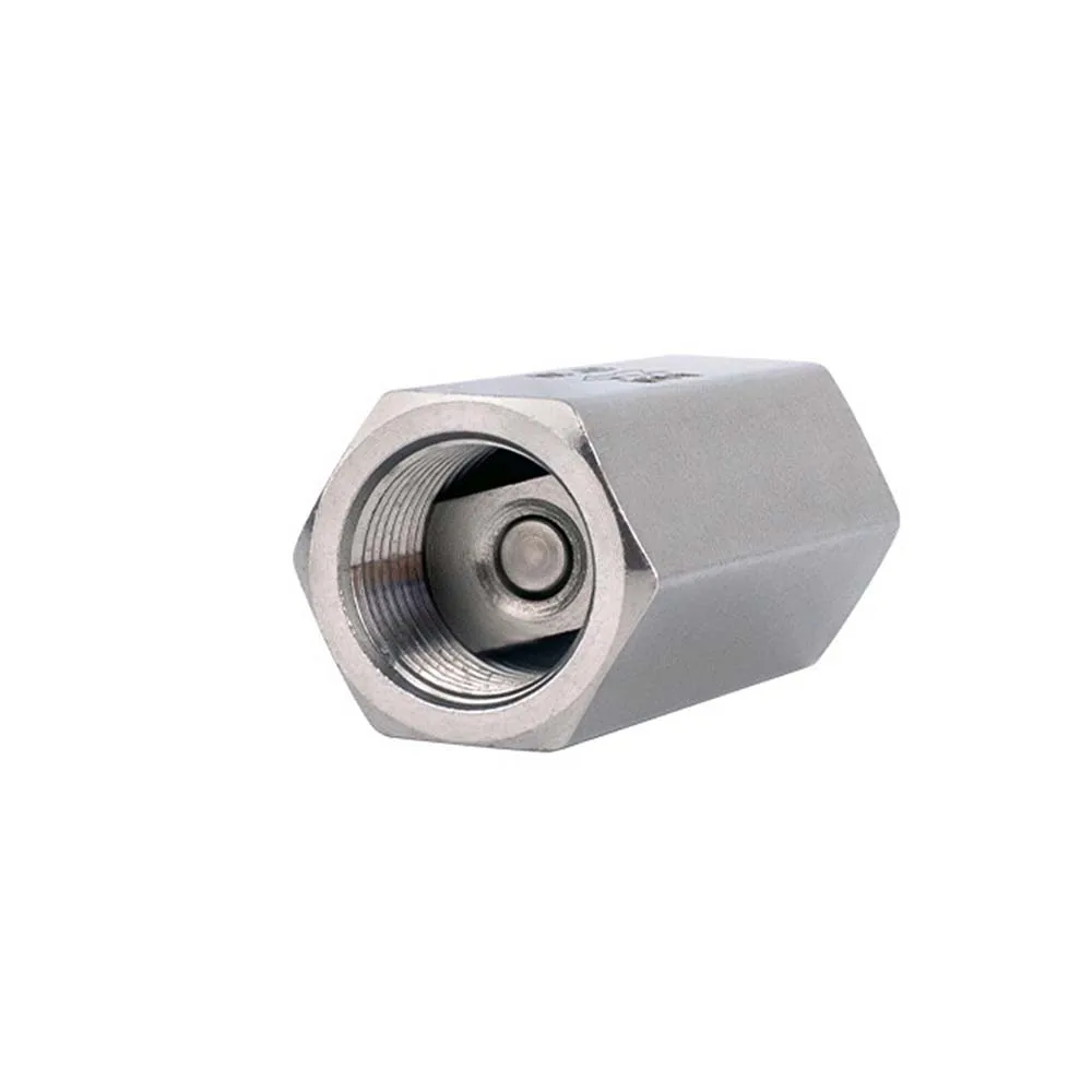 

Stainless Steel Inner Wire Check Valve 1/8" 1/4" 3/8" 1/2" 3/4" 1" Inch One-way Check Valve