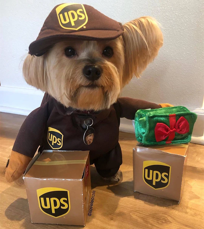 Коллекция костюмов UPS Pal одежда для больших собак Disfraz De Dog Хэллоуина вечерние