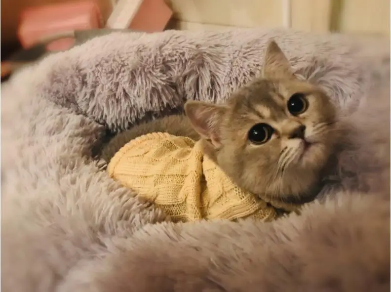 Зимний теплый длинный плюшевый супер мягкий собачий Кот круглая кровать питомник круглая собака глубокая спальная кровать для маленьких собак кошек