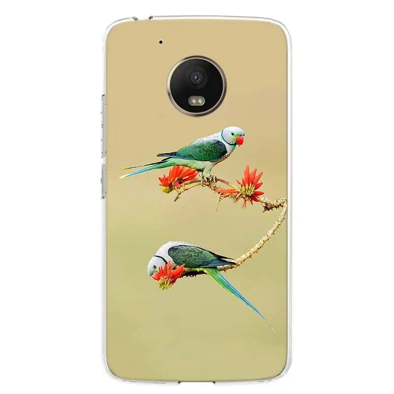 Чехол для телефона Motorola Moto G9 G8 G7 G6 E6 E5 Plus Power Play + EU One Fusion Action Macro Funda Shell | Мобильные