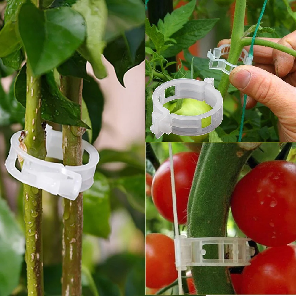 

50/100/200pcs 23mm Plastic Plant Support Clips clamps For Plants Hanging Vine Garden Greenhouse Vegetables Tomatoes Clips