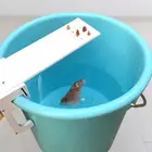 Домашняя садовая ловушка для вредителей сделай сам, ловушка для крыс, ловушка для быстрого уничтожения морщин, ловушка для мышей, ловушка для насекомых