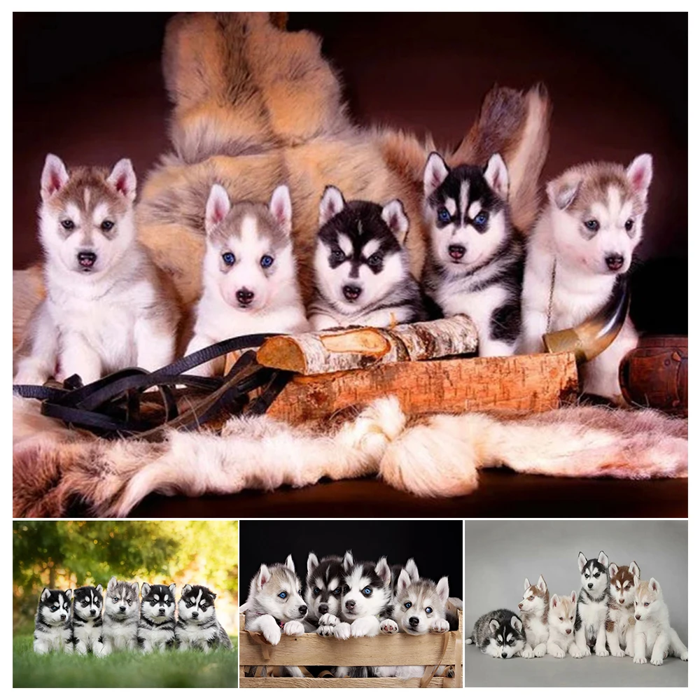 

DIY 5D Diamond Painting Animal Dog Rhinestone Picture Full Square/round Mosaic Art Embroidery Cross Stitch Kit Home Decor Gift