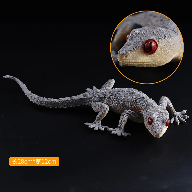 

Reptile about 28CM Big lizard collection boy toy Animals model gift