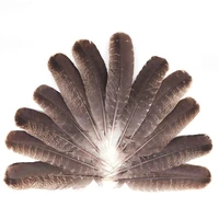 wholesale natural eagle feathers 20 25cm8 10inch turkey pheasant eagle bird feathers for crafts jewelry making carnival plumes