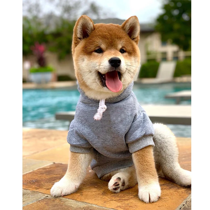 

Letter Print Cotton Schnauzer Hoodies for Pug Cosutme S-2XL PC1424