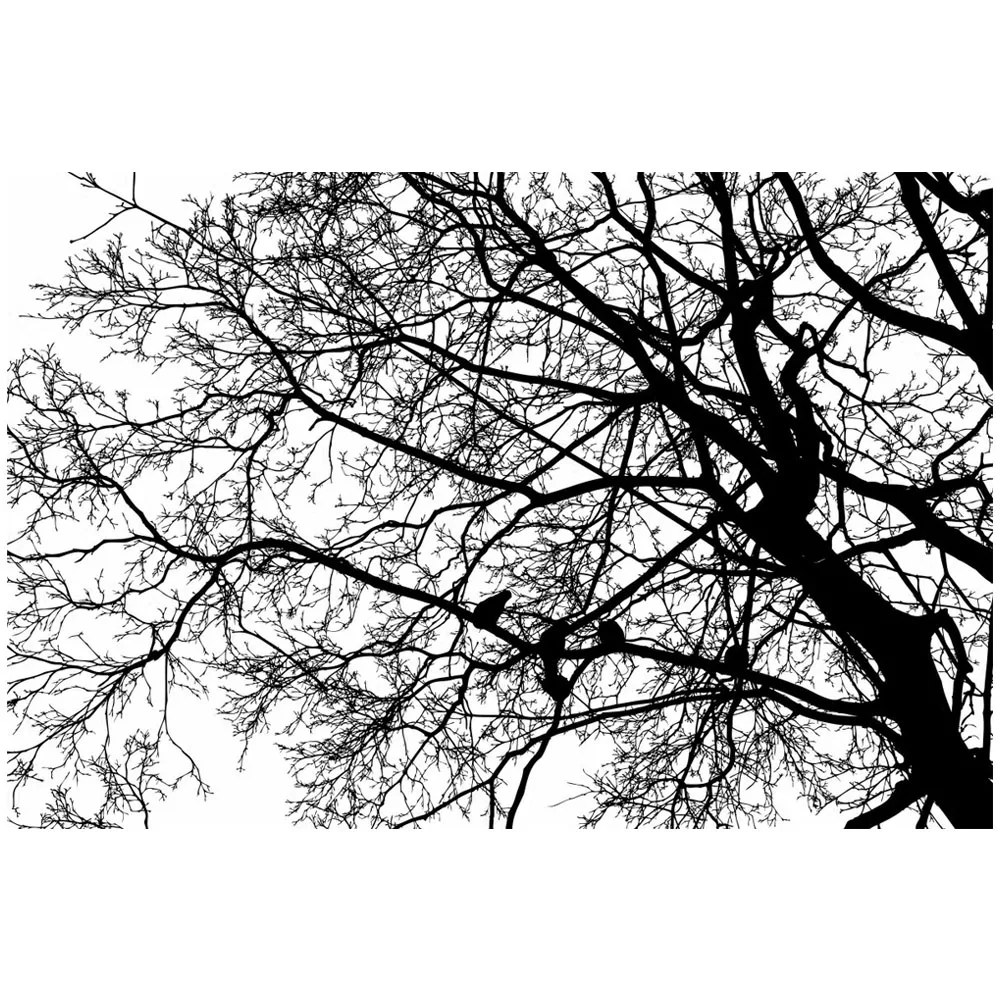 AZSG милые прозрачные штампы в виде птицы для рукоделия скрапбукинга декоративных