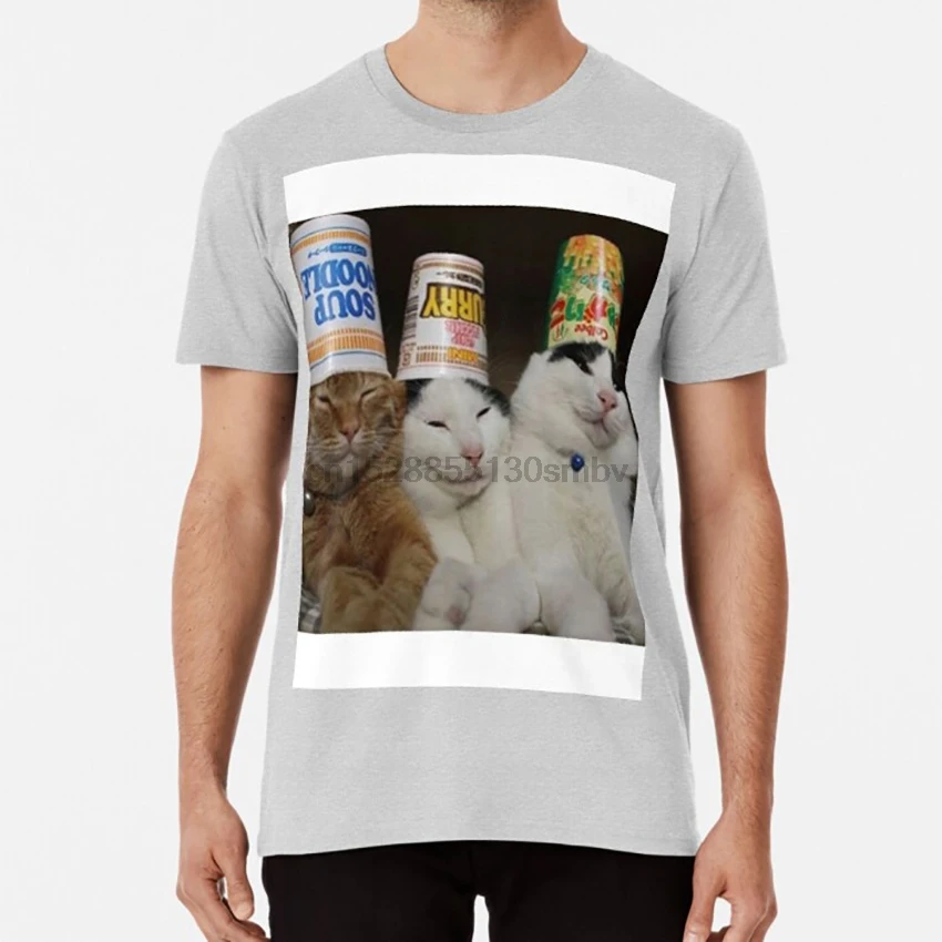 

Cup Cats T Shirt cat meme cat meme hat on cat hat on cat meme cat wearing hat cat wearing hat meme cat wearing cup cat
