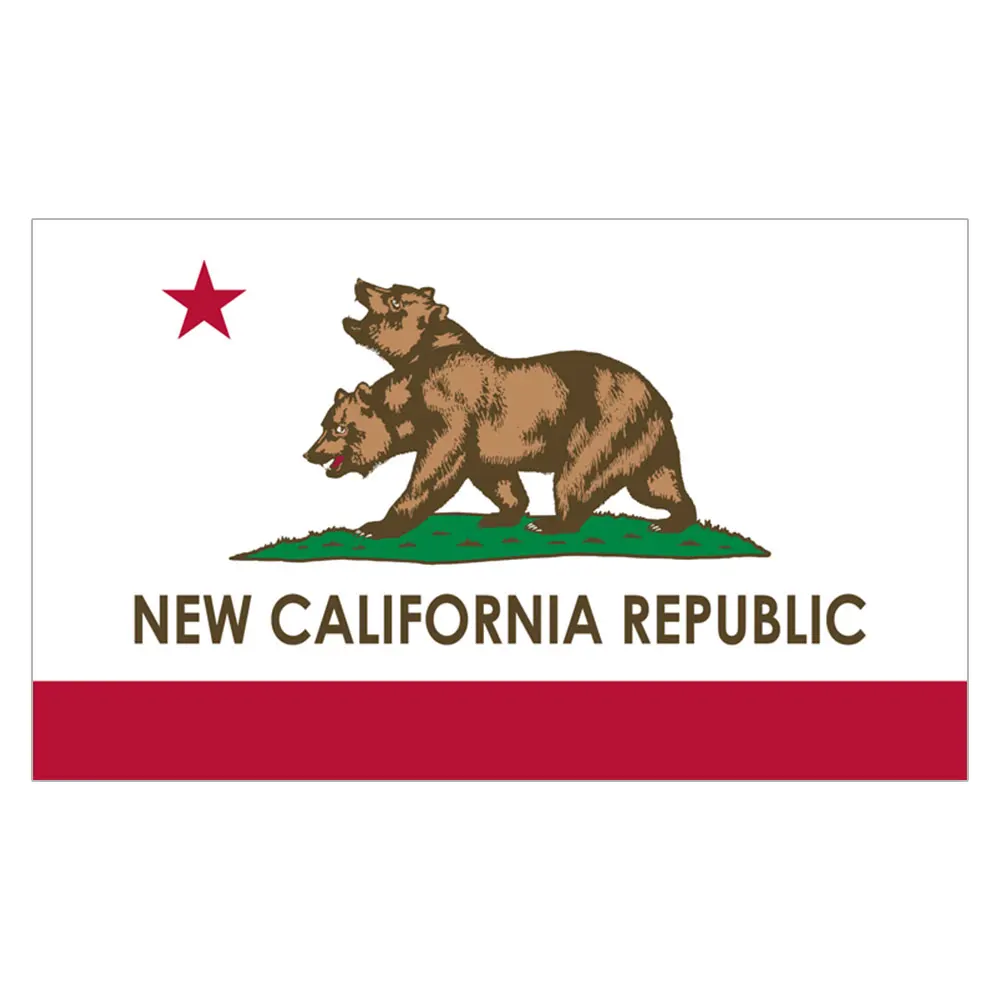 Речевой баннер 90х150 см уличные метки энциклопедия новый флаг Калифорнии цветная