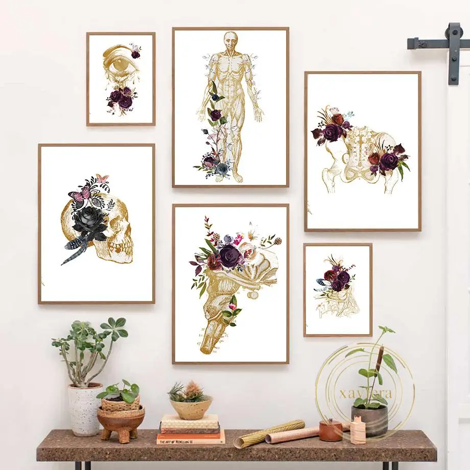 Плакат на холсте с изображением мышечной ткани черепа бедер костей анатомии