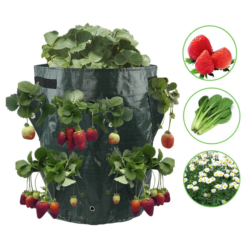 

4 8 Pockets Strawberry vertical Garden Plant Bags Planter Pot Planting grow Bags wall hangingPotato Plants For Veg Herbs Flower