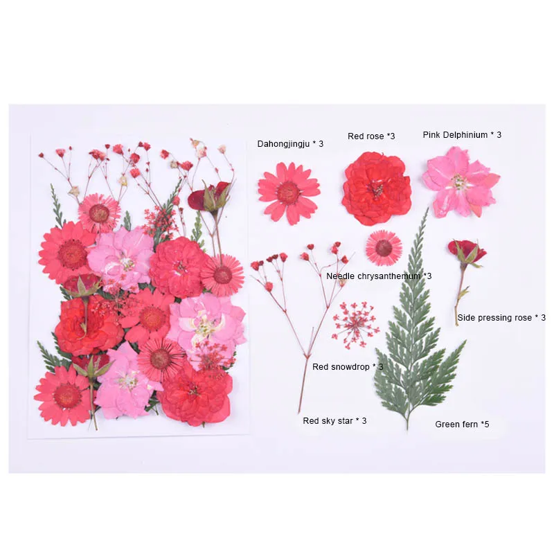 Прессованный цветок сушеные цветы DIY художественные ремесла Скрапбукинг Декор