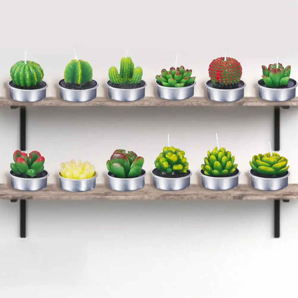 Искусственные растения суккуленты свечи кактус День Святого Валентина роза