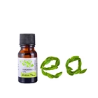 JSK профессиональные фруктовые эфирные масла Малина Jujube томаты Prunus зеленый чай Ароматические диффузоры для ароматерапии ароматическое масло